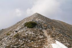 2011-04-24_Regina-F-Rau_Brunnstein-Spitze (176).JPG
